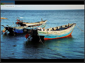 谷城日常用品 日用杂品与生活之美