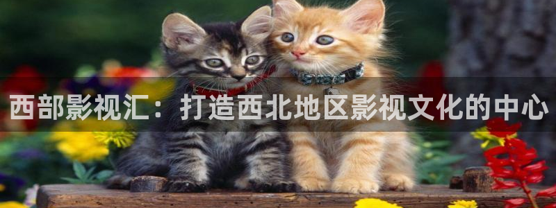 777欧美影院