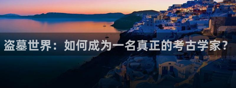 欧美影院另类：盗墓世界：如何成为一名真正的考古学家？