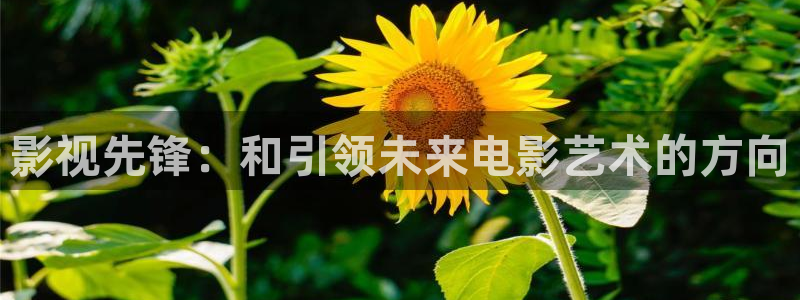 优优色在线欧美影院：影视先锋：和引领未来电影艺术的方向