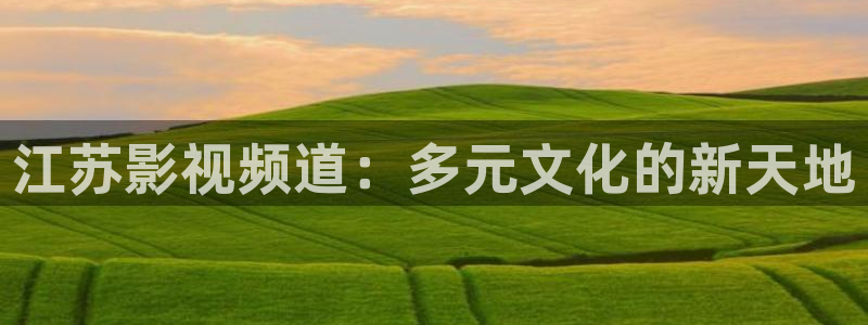 四虎欧美影院