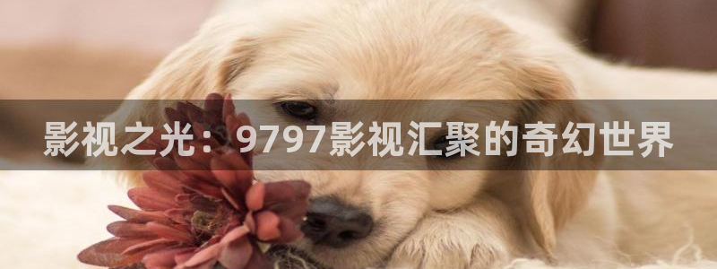 拉风色中色欧美影院：影视之光：9797影视汇聚的奇幻世界