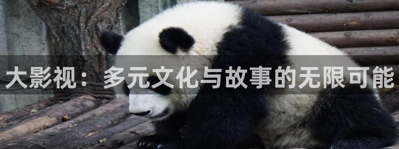 欧美影院激情：大影视：多元文化与故事的无限可能