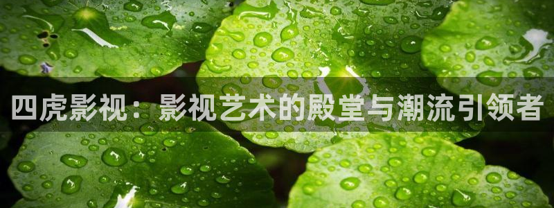 日韩影院欧美影院：四虎影视：影视艺术的殿堂与潮流引领者