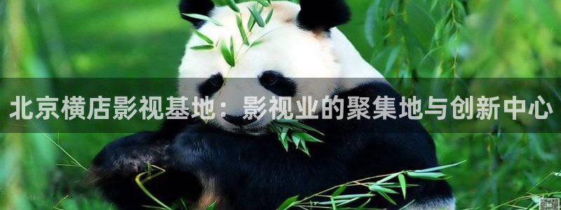 91欧美影院：北京横店影视基地：影视业的聚集地与创新中心