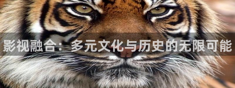 在线欧美影院
